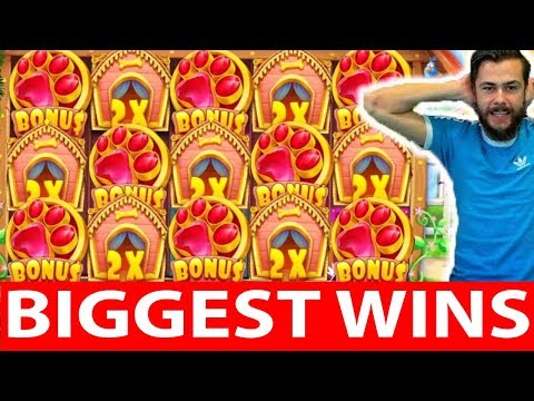 ONLINE CASINO WINS #10 reactoonz & the dog house AMAZING MEGA WIN