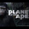Planet of the Apes Online Slot from NetEnt with Big Wins and Rise & Dawn Free Spins Bonus Rounds