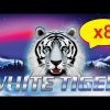 White Tiger Slot – 100x BIG WIN – x8 MULTIPLIER, YES!