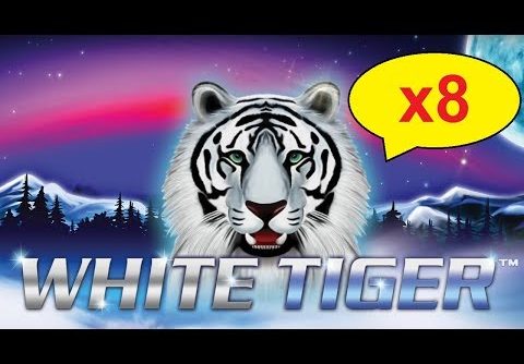 White Tiger Slot – 100x BIG WIN – x8 MULTIPLIER, YES!