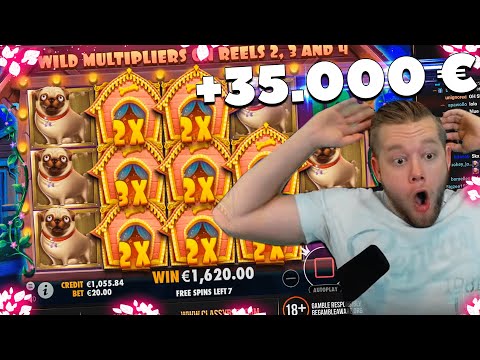 ClassyBeef Record Win 35.000€ on The Dog House slot – TOP 5 Biggest wins of the week