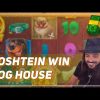 🏆 ROSHTEIN BIG WIN on Dog House Slot 🐕 Top 5 Biggest Wins of Week