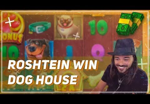 🏆 ROSHTEIN BIG WIN on Dog House Slot 🐕 Top 5 Biggest Wins of Week