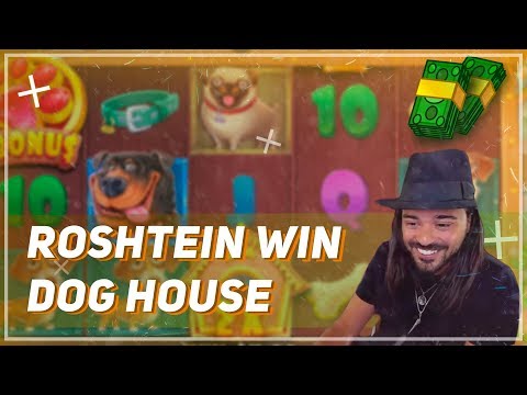 🏆 ROSHTEIN BIG WIN on Dog House Slot 🐕 Top 5 Biggest Wins of Week