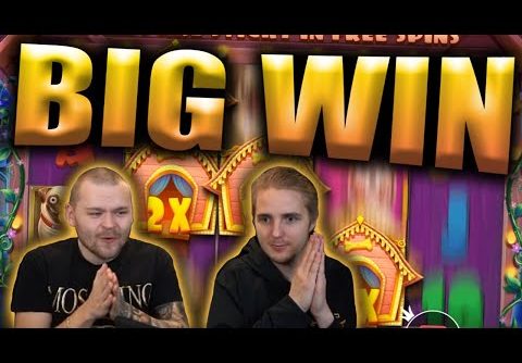 BIG WIN on THE DOG HOUSE – Casino Slots Big Wins