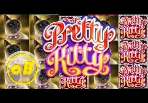 Pretty Kitty – Slot – MEGA MEGA WIN!