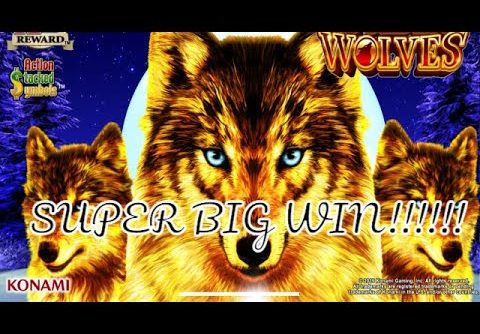 SUPER BIG WIN! GOLDEN WOLVES SLOT MACHINE!!!