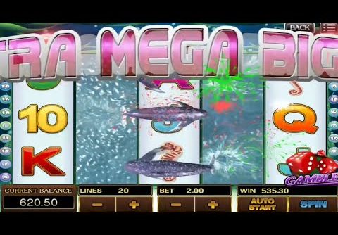 Buffalo https://vogueplay.com/uk/how-does-a-slot-machine-work/ Slot machine