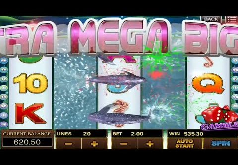 ULTRA BIGWIN II DOLPHIN REEF II MODAL 100 ll 918kiss ll scr888 slot