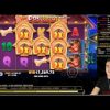 New  Record win The Dog House slot