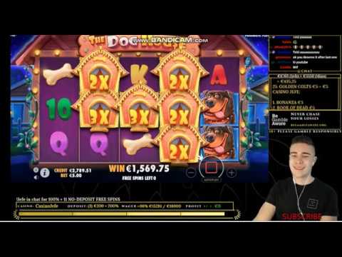 New  Record win The Dog House slot