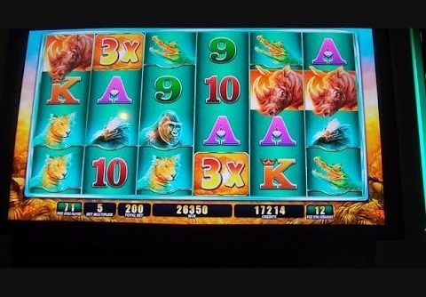 Raging Rhino Week – 1/3 – MAX BET & BIG WIN Slot Machine Bonus Round Free Games + MASSIVE RETRIGGERS