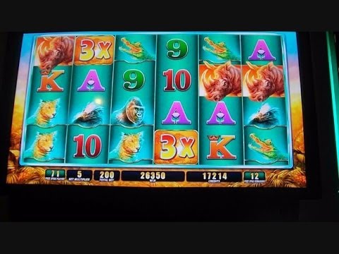 Raging Rhino Week – 1/3 – MAX BET & BIG WIN Slot Machine Bonus Round Free Games + MASSIVE RETRIGGERS