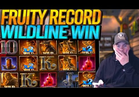 FRUITY SLOTS RECORD DEAD OR ALIVE 2! Insane Wildline Win!