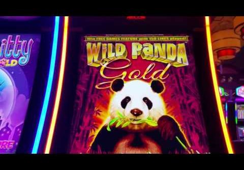Wild Panda Gold Slot Machine Bonus on 1.80 with Big Win!