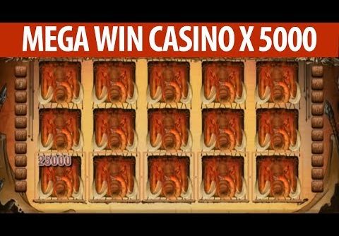 X5000. TOP 5 SUPER BIG WIN CASINO ONLINE. MEGA WIN CASINO STREAM SLOTS MACHINES