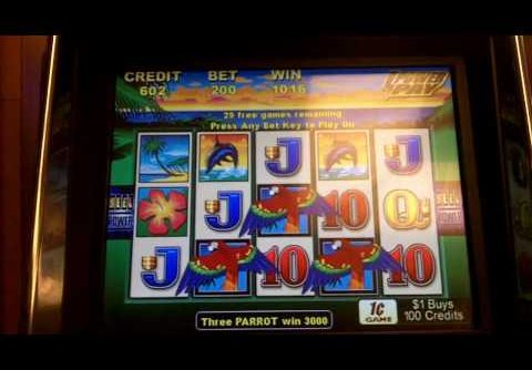 $Tahiti Magic Slot Bonus ‘Big’ Win trying to beet NYPhinix13