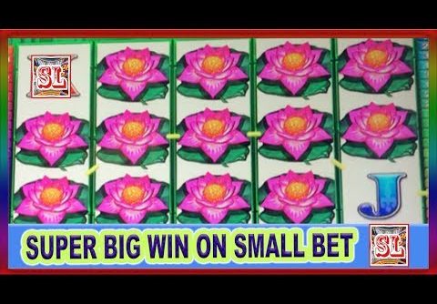 ** Wife’s SUPER BIG WIN on a Small Bet ** PANDA POWER  ** SLOT LOVER **