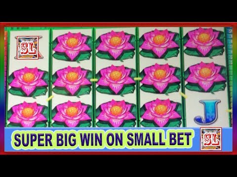 ** Wife’s SUPER BIG WIN on a Small Bet ** PANDA POWER  ** SLOT LOVER **