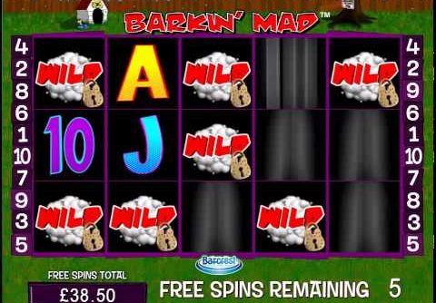 Barcrest – Barkin’ Mad – Super Big Win