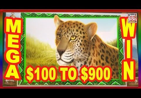 ** MEGA WIN ** $100 To $900 IN 5 Minutes ** SLOT LOVER **