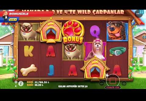 Bonusizle Slot | Dog House Havlayan Köpek Isırmaz Megawin!!! #Slots #bigwin