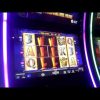 The Wild Life Slot Machine BIG WIN Bonus