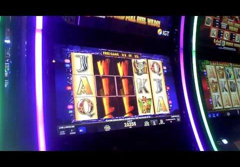 The Wild Life Slot Machine BIG WIN Bonus