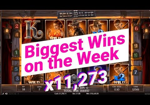 🔴 BIGGEST WINS OF THE WEEK #6 – Dead of Alive 2 slot [x11273] – 🚨ONLINECASINOPOLICE🚨 COMPILATION