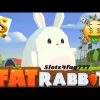 Insane win on Fat Rabbit (Push Gaming) Online Slot