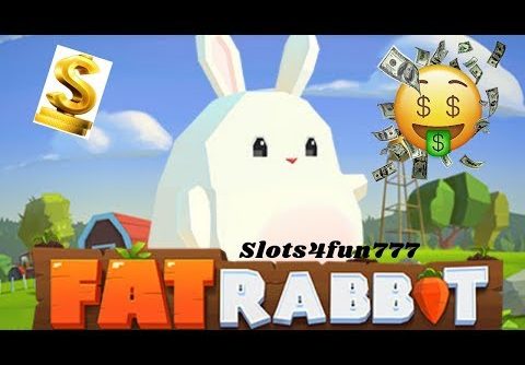 Insane win on Fat Rabbit (Push Gaming) Online Slot