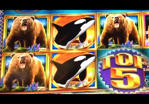 SUPER BIG WIN ~ 5 Bears on Kodiak Island Slot Machine Bonus TOP 5!!