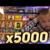 ClassyBeef Record Win 20.000€ on Viking unleashed slot – TOP 5 Biggest wins of the week