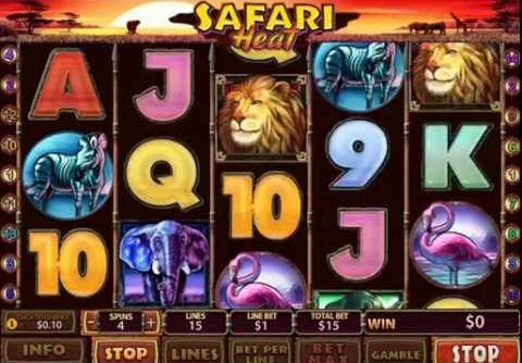 Safari Heat Slot – Big Win