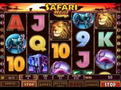 Safari Heat Slot – Big Win