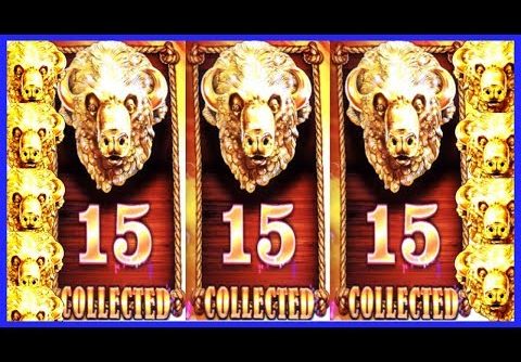 BUFFALO GOLD FIX! OLGA COMPLETES THE COLLECTION! BIG WINS! | Slot Traveler