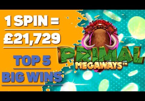 🔥MUST SEE🔥 Primal Megaways slot Big Wins | Online Casino Jackpots | Biggest Insane Win Real Money