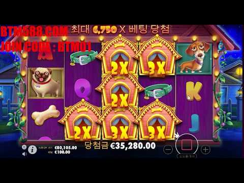 the dog house slot machine mega win !! x832 big jacpot  !! 더 도그 하우스 슬롯머신 잭팟 832 배당 !!