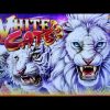 SUPER BIG WIN on WHITE CATS SLOT POKIE BONUSES by KONAMI PECHANGA CASINO