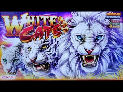 SUPER BIG WIN on WHITE CATS SLOT POKIE BONUSES by KONAMI PECHANGA CASINO