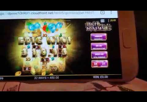 2.7k win white rabbit slots 50p stake bonus all reels unlocked!! #casinocalzone