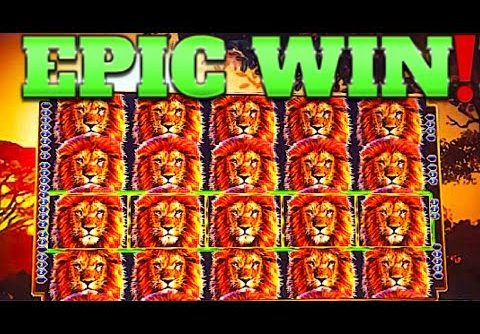 $ FULL SCREEN DOUBLE MEGA WIN!!! $ KING OF AFRICA WMS SLOT MACHINE!