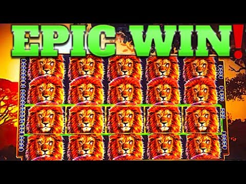 $ FULL SCREEN DOUBLE MEGA WIN!!! $ KING OF AFRICA WMS SLOT MACHINE!