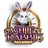 SUPER BIG WIN on White Rabbit Slot Bonus!