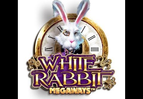 SUPER BIG WIN on White Rabbit Slot Bonus!