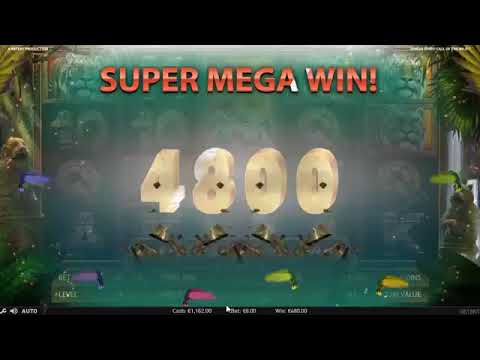 Super mega win 62000$ in Jungle Spirit slot. Mega Big Win X7700