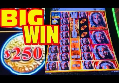 The WALKING DEAD 2 slot machine BIG WINS and Dollar Storm MEGA WIN!