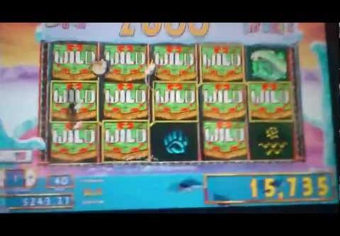 Treasure Ceremony Slot Machine Super Mega Big Win!!!