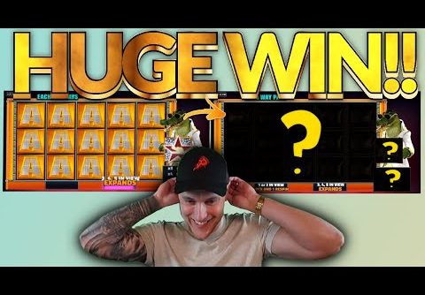 MEGA WIN! Gator King Big win – HUGE WIN on Casino slots from Casinodaddy