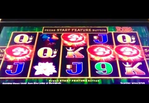 PANDA MAGIC SLOT MACHINE 🔥 BIG WIN 🔥 HOW TO MAKE $50 TO OVER $1000 🤑🤑 POKIE WINS